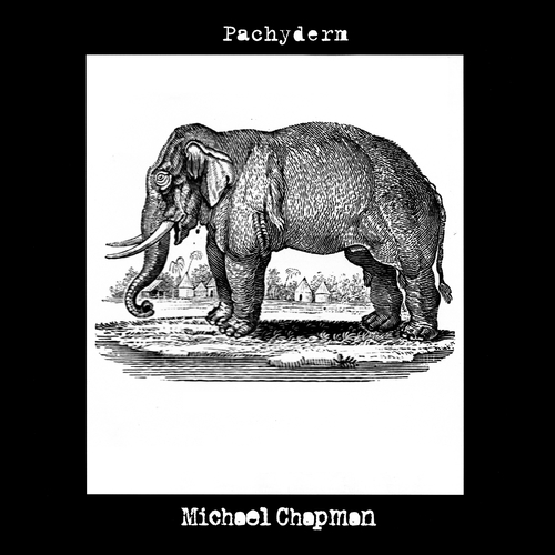 Michael Chapman - Pachyderm