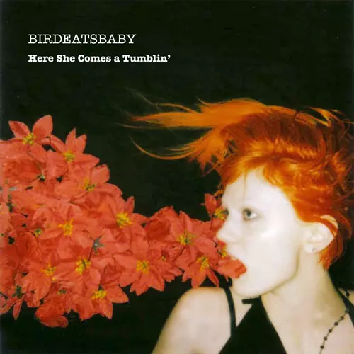 Birdeatsbaby - Here She Comes-a-Tumblin' (Sheet Music)