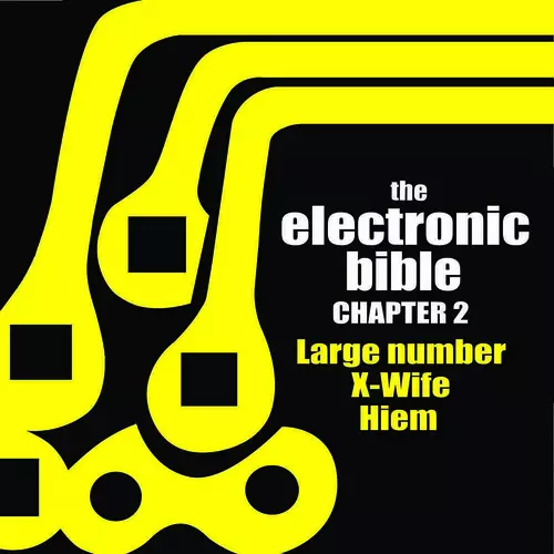 Large Number|X-Wife|Hiem - The Electronic Bible chapter 2