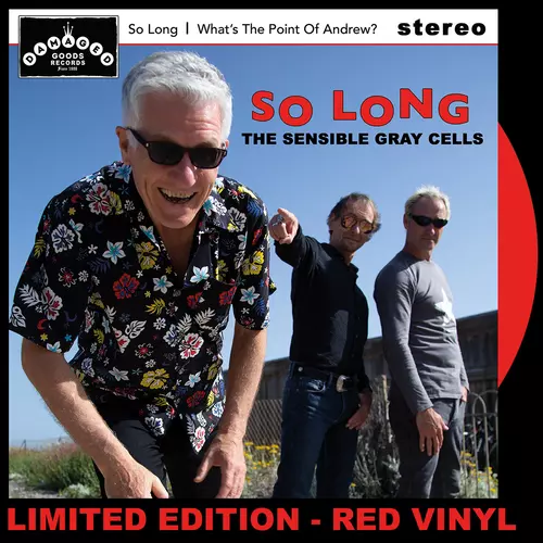 So Long/What's the Point of Andrew? RED VINYL 7"