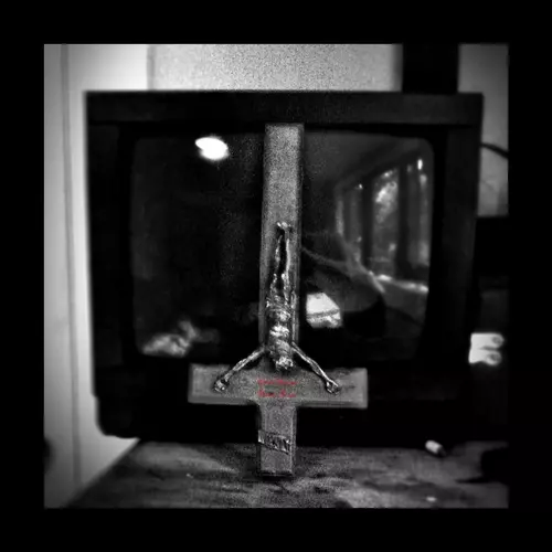 TIFG - RATTLESNAKES