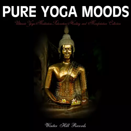 The Yoga Specialists - Pure Yoga Moods – Ultimate Yoga,Meditation,Relaxation,Healing and Manifestation Collection
