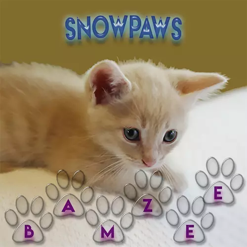 Bamzee - Snowpaws