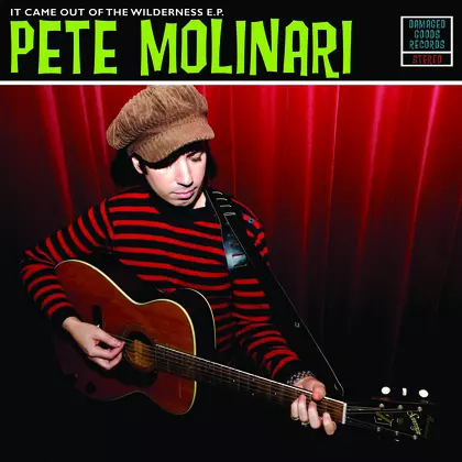 Pete Molinari - It Came Out Of The Wilderness EP cover