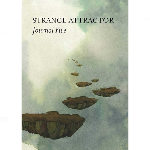 the strange attractor essay