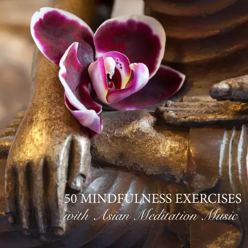 Zen Music Garden - 50 Mindfulness Exercises with Asian Meditation Music - Relaxing Songs and Zen Meditation Music for Purity, Spirituality & Serenity