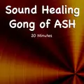 Sound Healing Gong Of ASH 20 Minutes