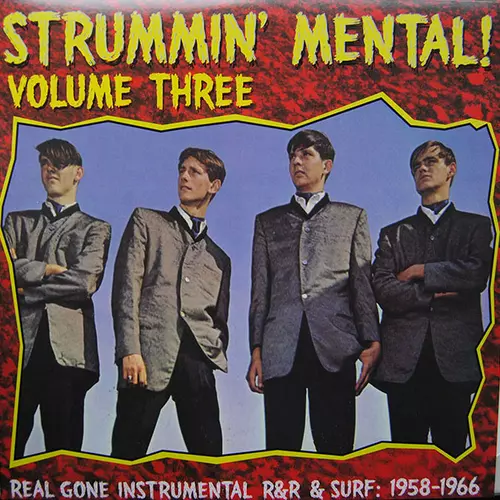 Various Artists - V/A STRUMMIN' MENTAL vol.3