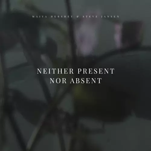 Neither Present Nor Absent