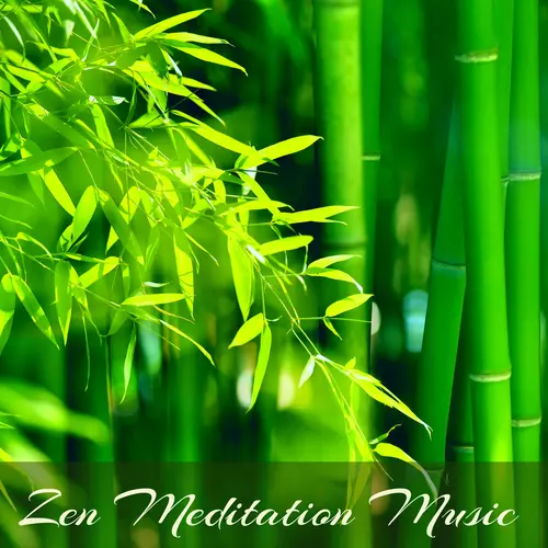 Zen Music Garden - Zen Meditation Music - 1 Hour Soothing Sounds for Zazen Meditation, Breathing and Deep Relaxation