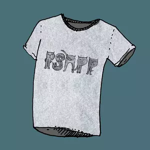 Psapp Cat Women's Grey T-Shirt