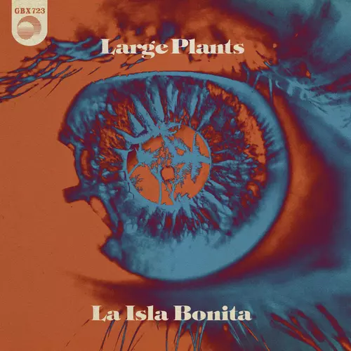 Large Plants - La Isla Bonita