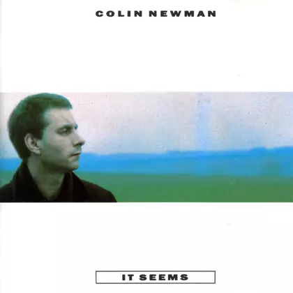 Colin Newman - It Seems cover