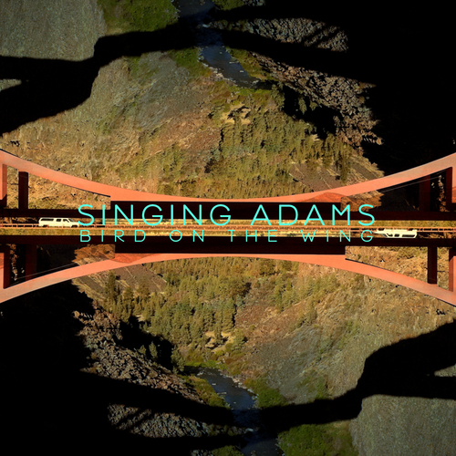 Singing Adams - Bird On The Wing