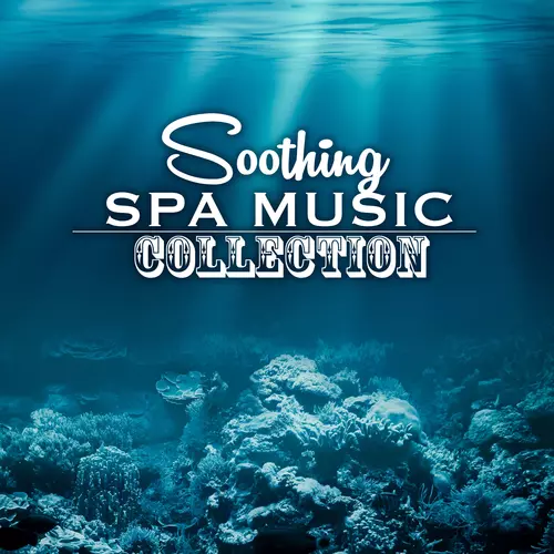 Meditation Spa - Soothing Spa Music Collection - Harp Background Songs for Swedish Massage, Sauna & Meditation