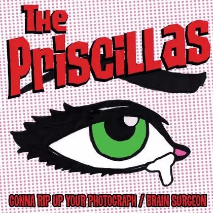 The Priscillas - Gonna Rip Up Your Photograph cover
