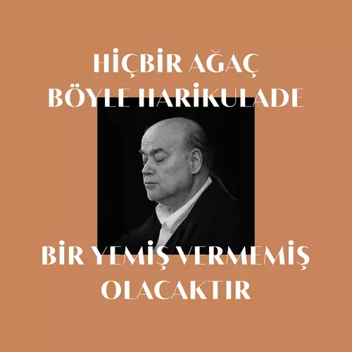 View full size cover Vedat Sakman - Hiçbir Ağaç Böyle Harikulade Bir Yemiş Vermemiştir