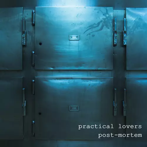 Practical Lovers - Post Mortem