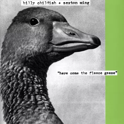 Billy Childish, Sexton Ming - Here Come The Fleece Geese cover
