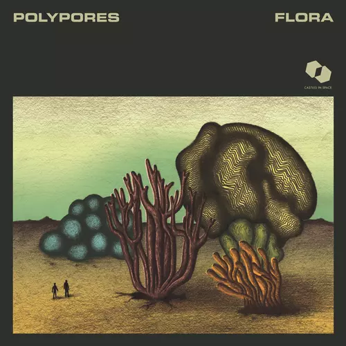 Polypores - Flora