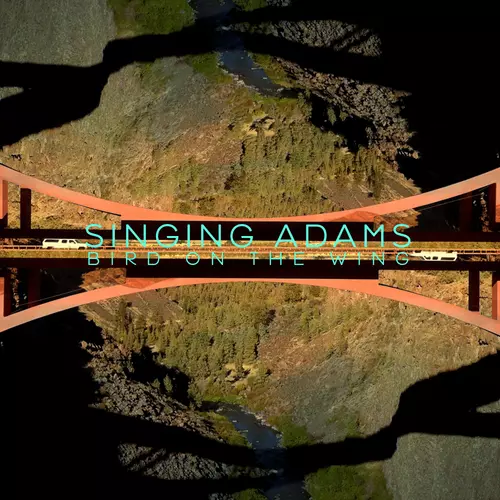 Singing Adams - Bird On The Wing