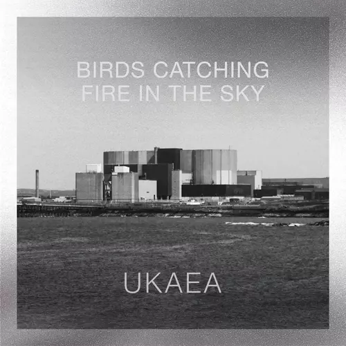 UKAEA - Birds Catching Fire in the Sky