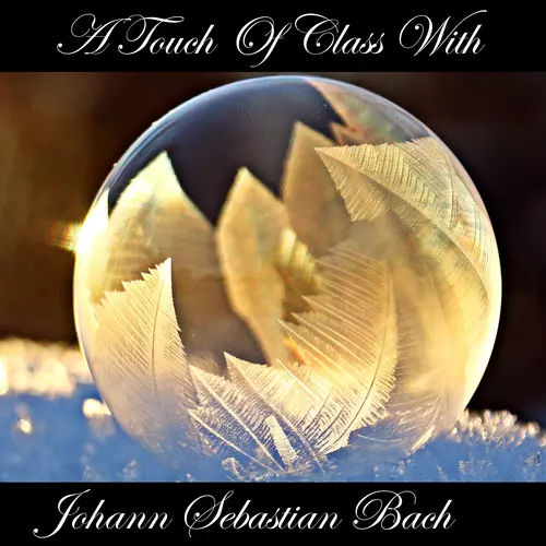 Johann Sebastian Bach - A Touch Of Class With Johann Sebastian Bach