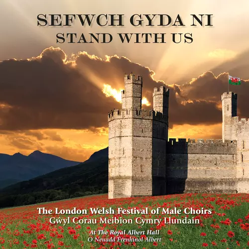Sefwch gyda ni / Stand With Us