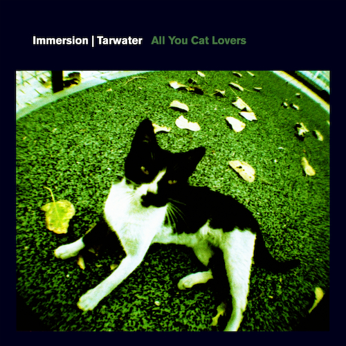 Immersion - All You Cat Lovers