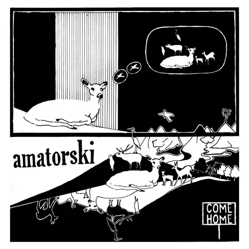 Amatorski - Come Home