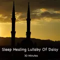 Sleep Healing Lullaby of Daisy 30 Minutes
