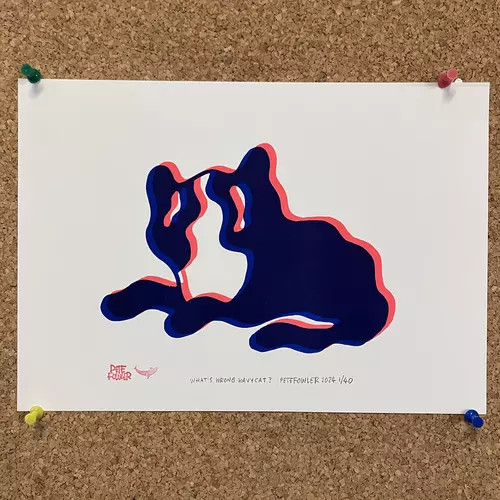 Pete Fowler Wavy Cat A4 riso print