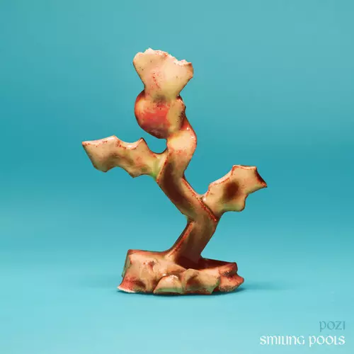 View full size cover Pozi - Smiling Pools