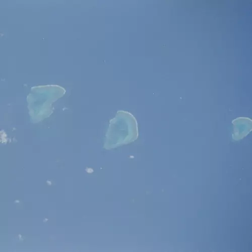 Coral Sea