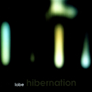 Hibernation