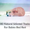 80 Natural Selected Tracks For Babies Bed Rest
