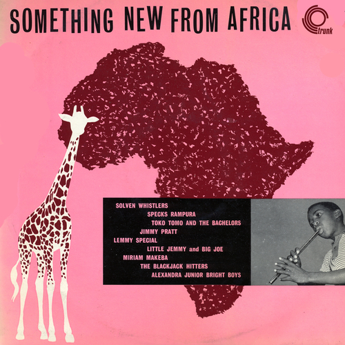 Various Artists - Something New From Africa