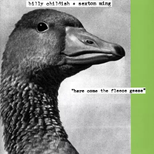 Billy Childish and Sexton Ming - Here Come The Fleece Geese