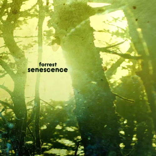 Forrest - Senescence