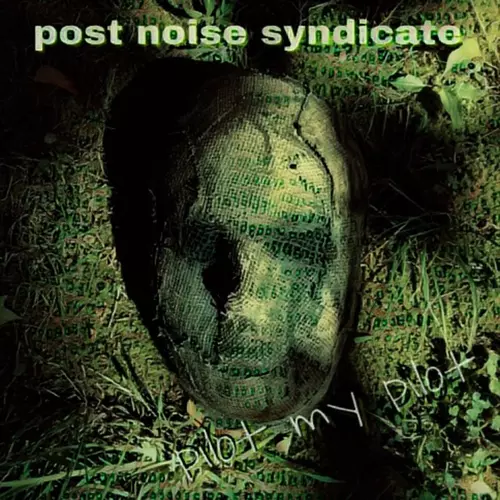 Post Noise Syndicate - Pilot My Pilot