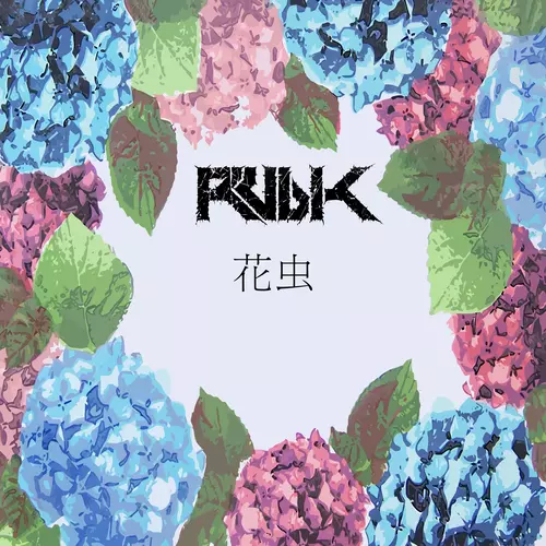 Rubik - 花虫