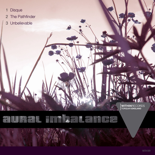 Aural Imbalance - Disque