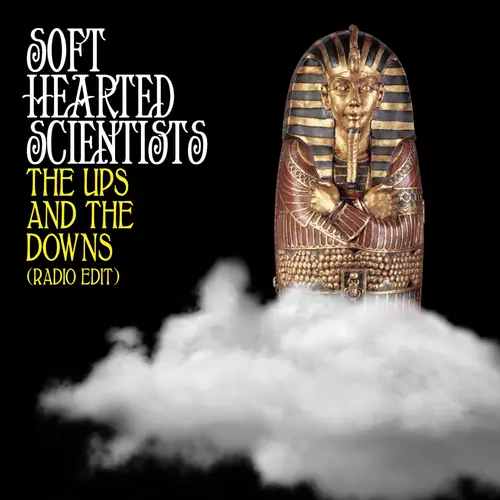Soft Hearted Scientists - The Ups and the Downs