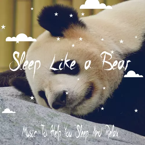 View full size cover Sleep Sound Library - Sleep Like A Bear: Music To Help You Sleep And Relax
