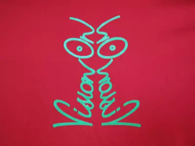 Vision On t-shirt in tomato and lime