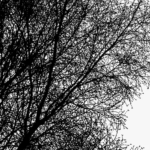 View full size cover The Goat Project - Eden Air