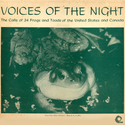 Frogs and Toads of the United States and Canada - Voices Of The Night: The Calls Of Frogs And Toads