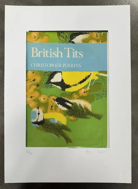 A4 British Tits