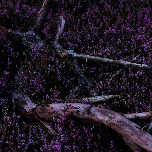 Egress VII