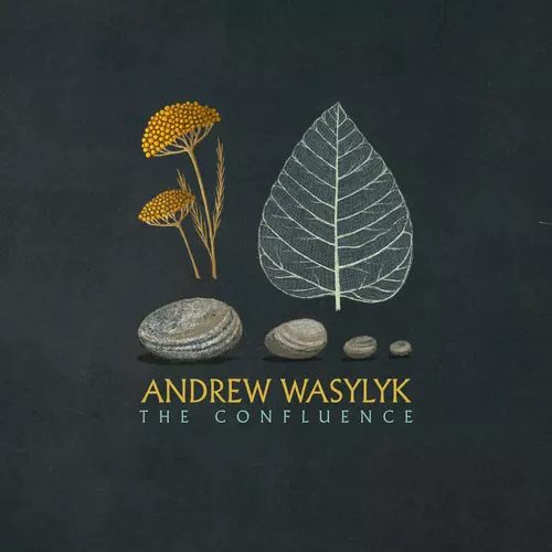 Andrew Wasylyk - The Confluence